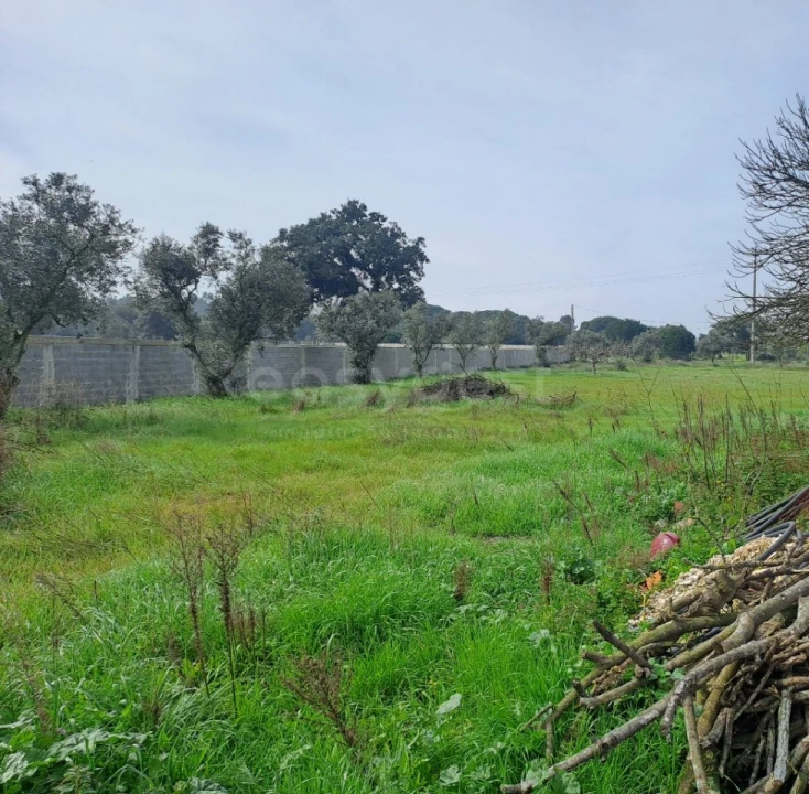 Terreno para Venda em Alhos Vedros Foto 4