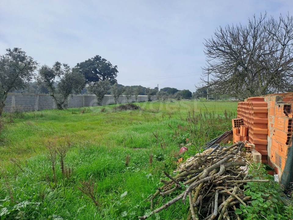Terreno para Venda em Alhos Vedros Foto 5