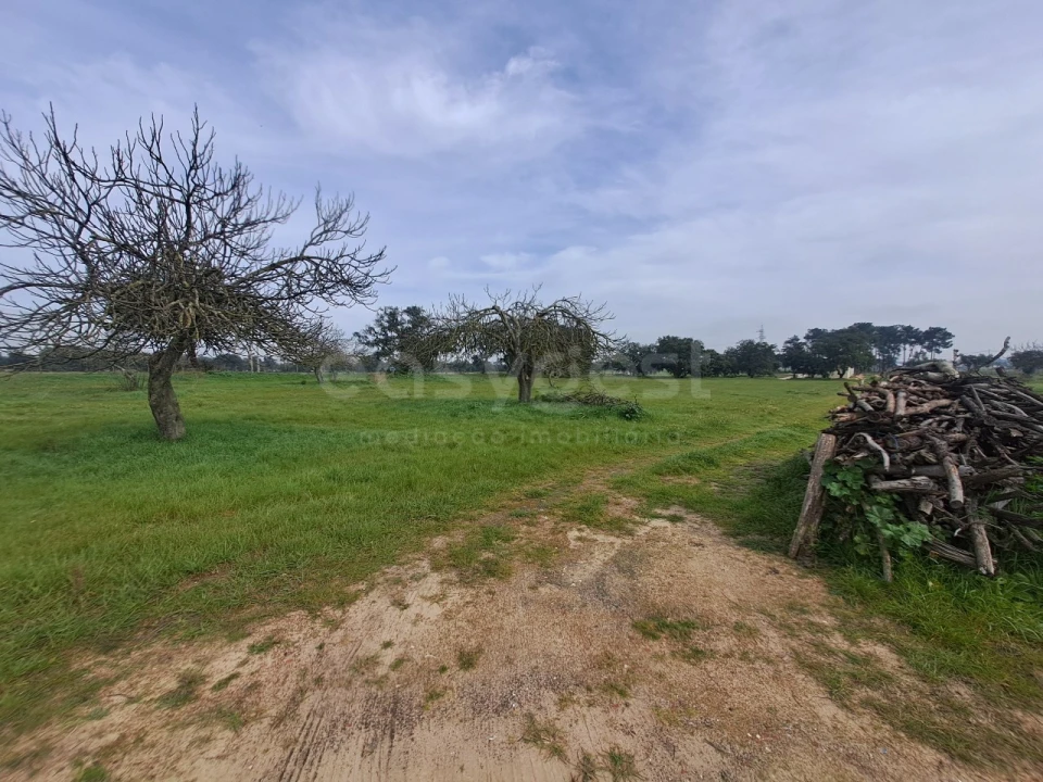 Terreno para Venda em Alhos Vedros Foto 15