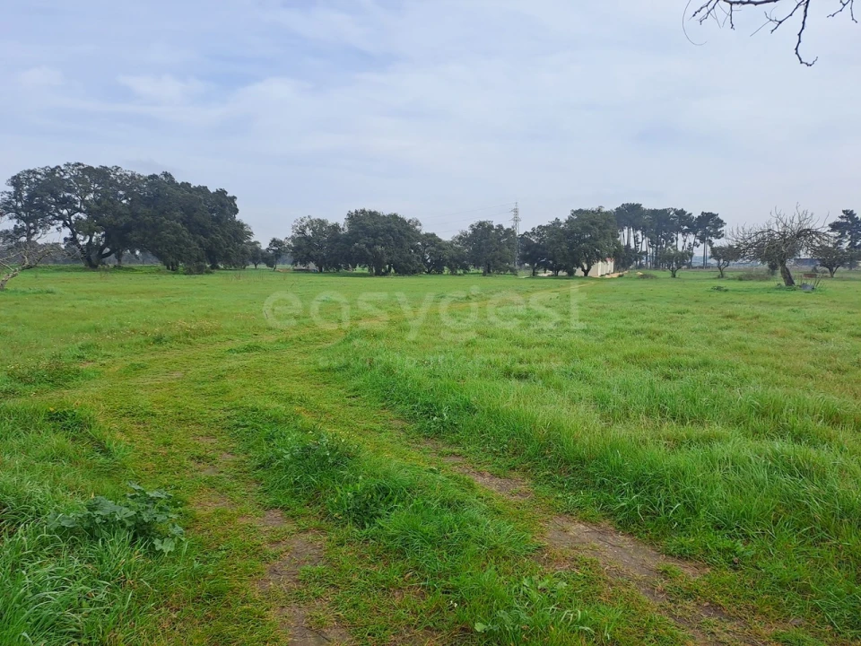 Terreno para Venda em Alhos Vedros Foto 16