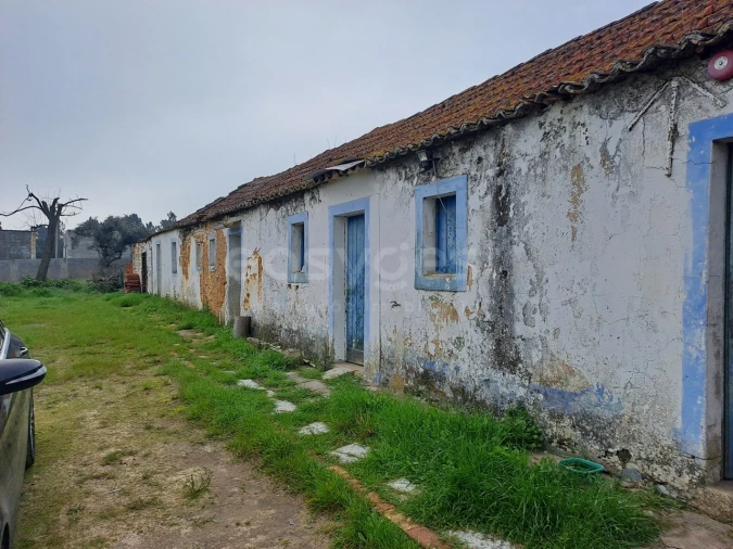 Terreno para Venda em Alhos Vedros