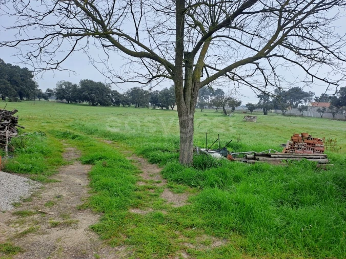 Terreno para Venda em Alhos Vedros Foto 2