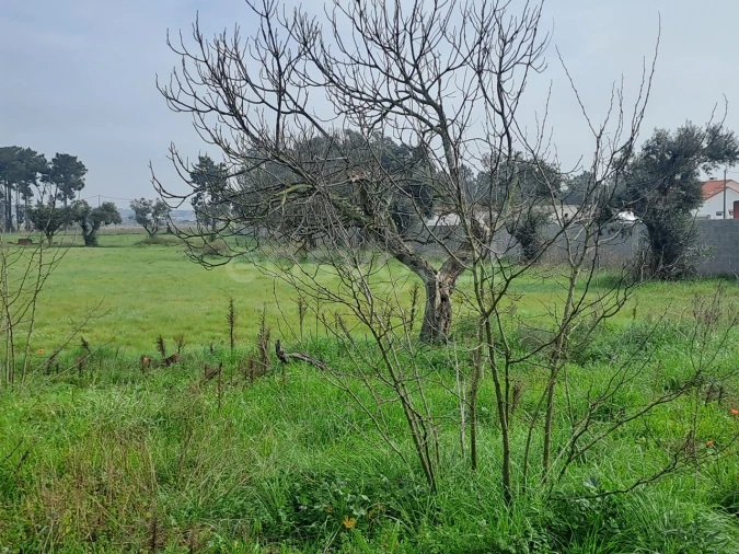 Terreno para Venda em Alhos Vedros Foto 10