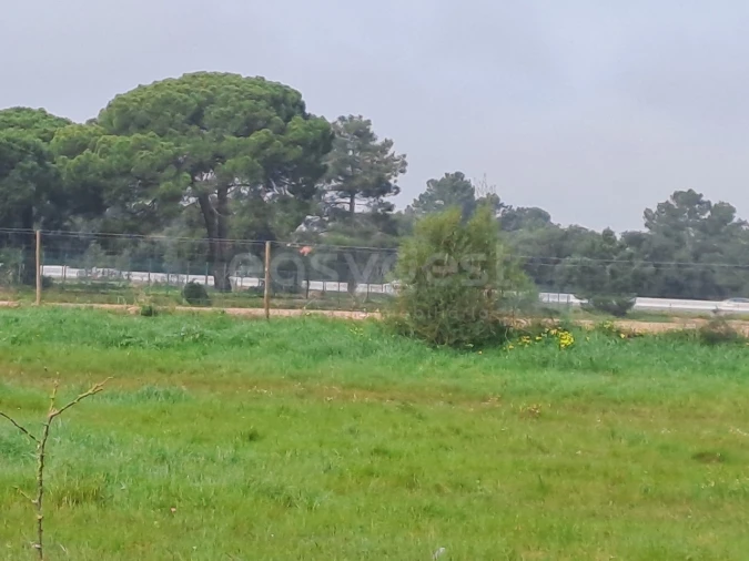 Terreno para Venda em Alhos Vedros Foto 13