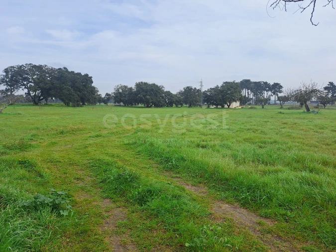 Terreno para Venda em Alhos Vedros Foto 16
