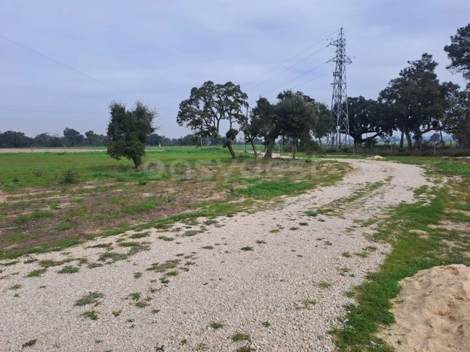 Terreno para Venda em Alhos Vedros Foto 18