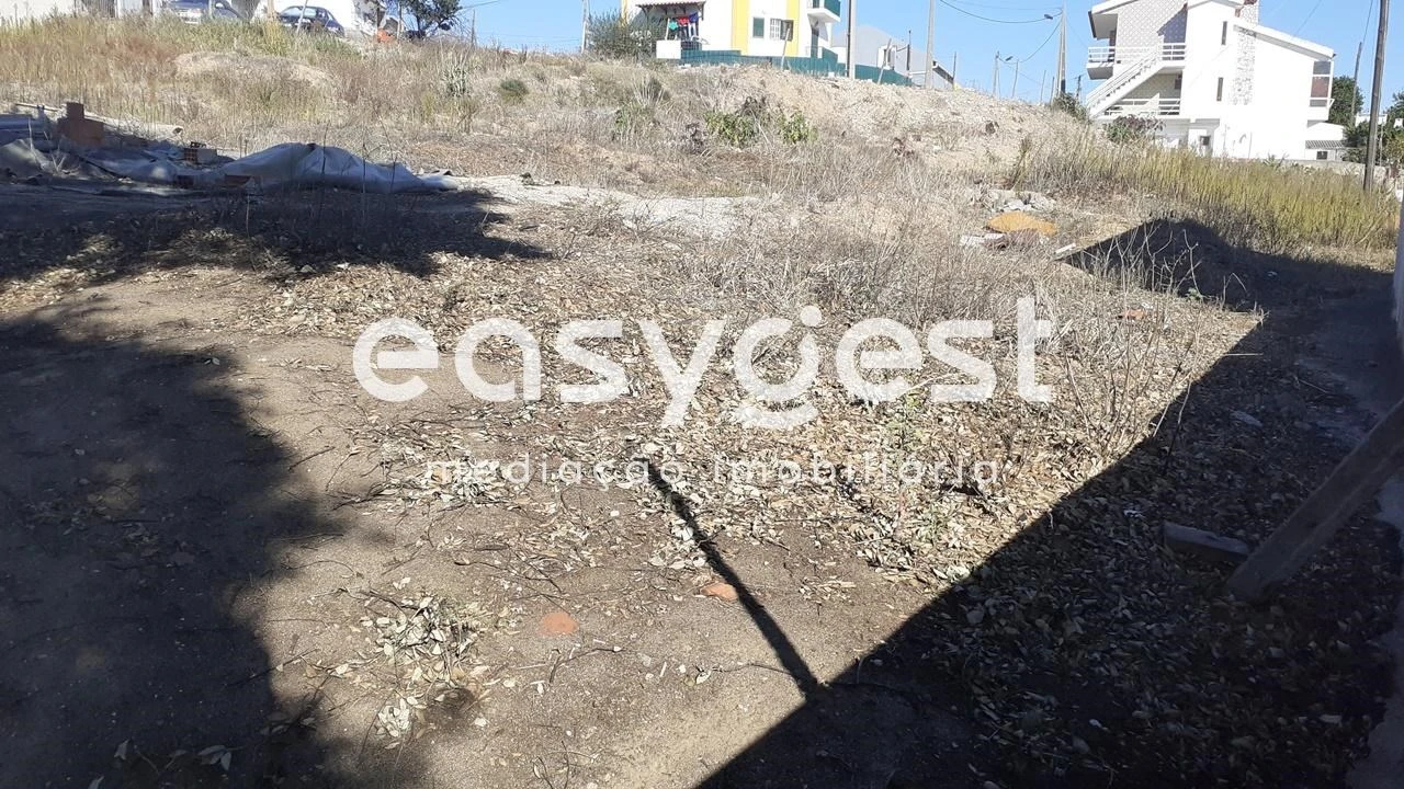 Terreno Agricola ou Rústico para Venda em Sado Foto 2
