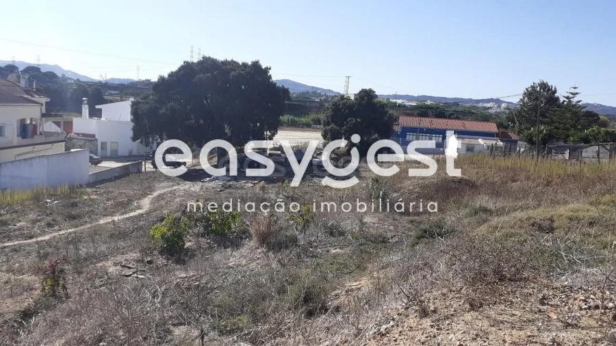 Terreno Agricola ou Rústico para Venda em Sado Foto 1