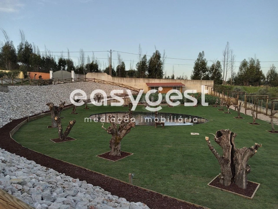 Moradia T4 para Venda em Serra e Junceira Foto 48