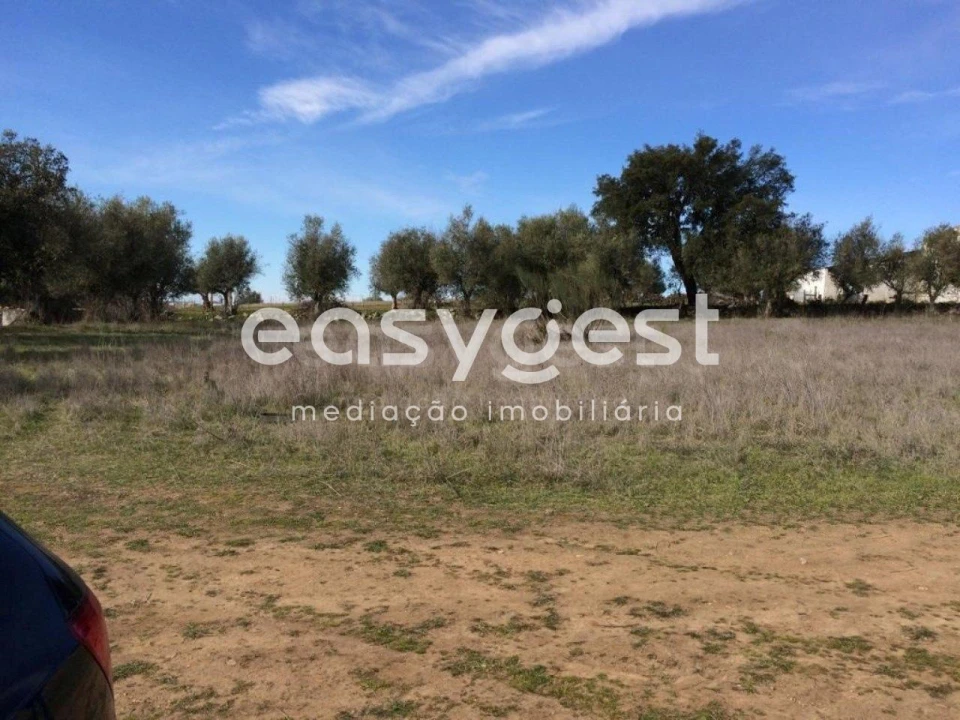 Terreno Agricola ou Rústico para Venda em Figueira e Barros Foto 7