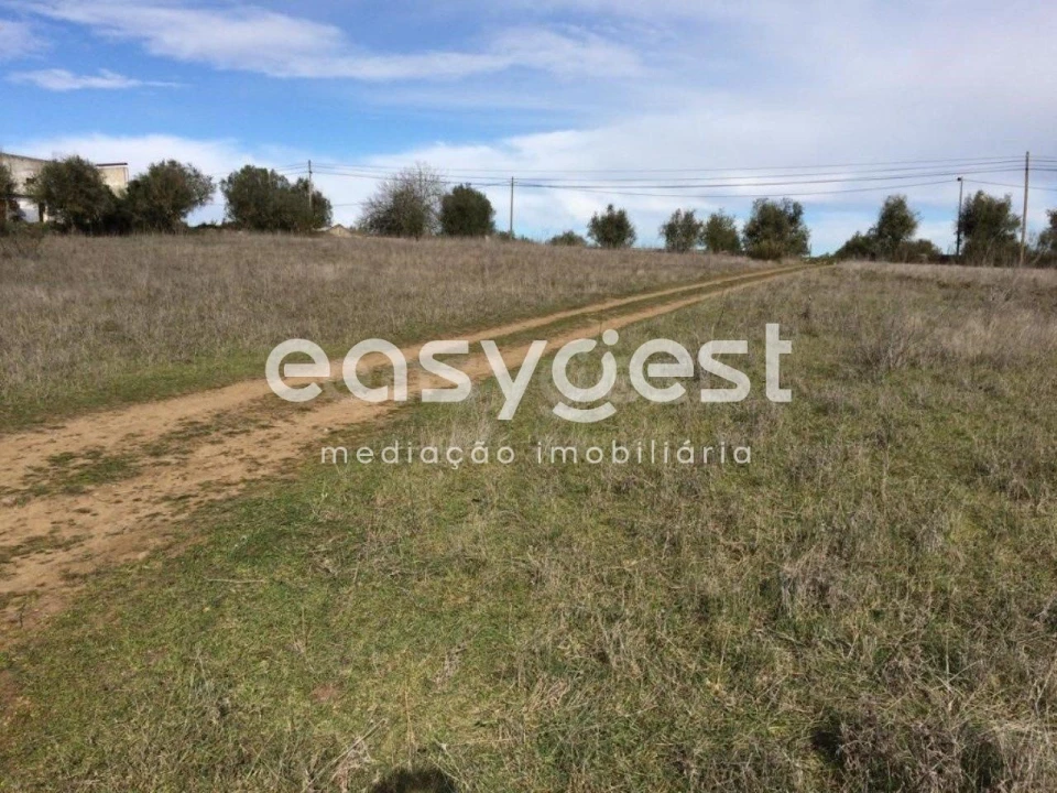 Terreno Agricola ou Rústico para Venda em Figueira e Barros Foto 9