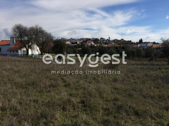 Terreno Agricola ou Rústico para Venda em Figueira e Barros Foto 2