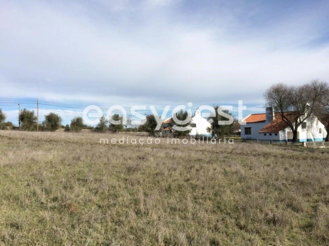 Terreno Agricola ou Rústico para Venda em Figueira e Barros Foto 4
