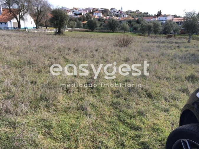 Terreno Agricola ou Rústico para Venda em Figueira e Barros Foto 10