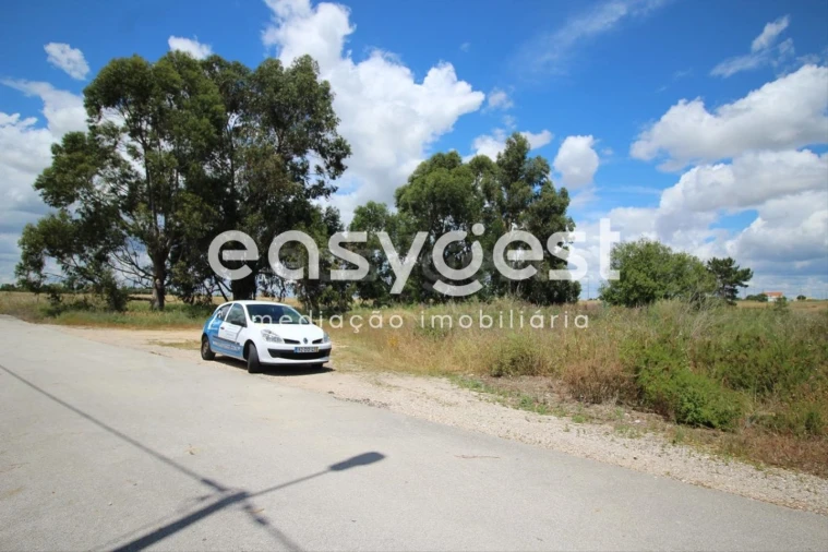 Terreno Agricola ou Rústico para Venda em Poceirão e Marateca Foto 1