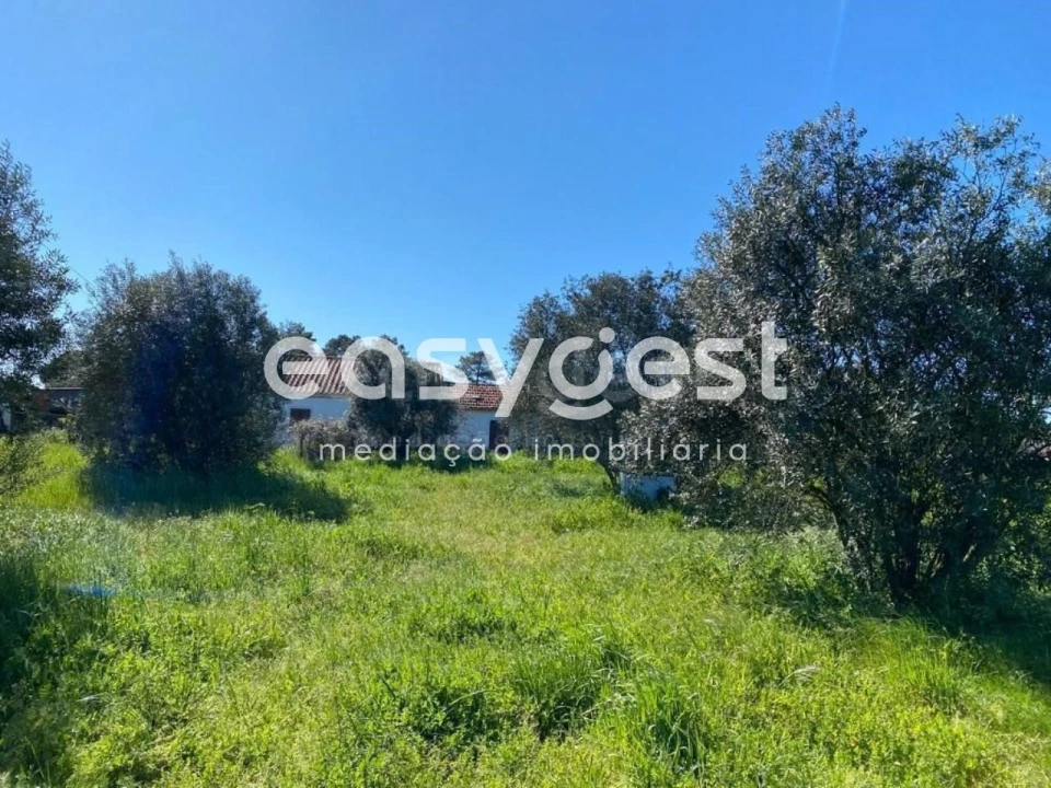 Quinta T3 para Venda em Grândola e Santa Margarida da Serra Foto 10