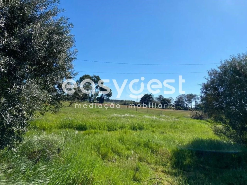 Quinta T3 para Venda em Grândola e Santa Margarida da Serra Foto 11