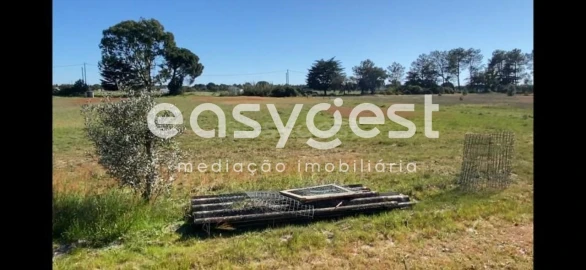 Quinta T3 para Venda em Grândola e Santa Margarida da Serra