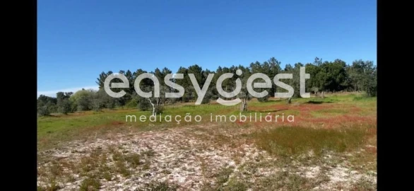 Quinta T3 para Venda em Grândola e Santa Margarida da Serra