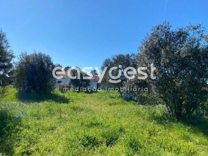 Quinta T3 para Venda em Grândola e Santa Margarida da Serra Foto 10