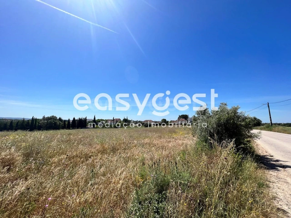 Terreno Misto para Venda em Madalena e Beselga Foto 1