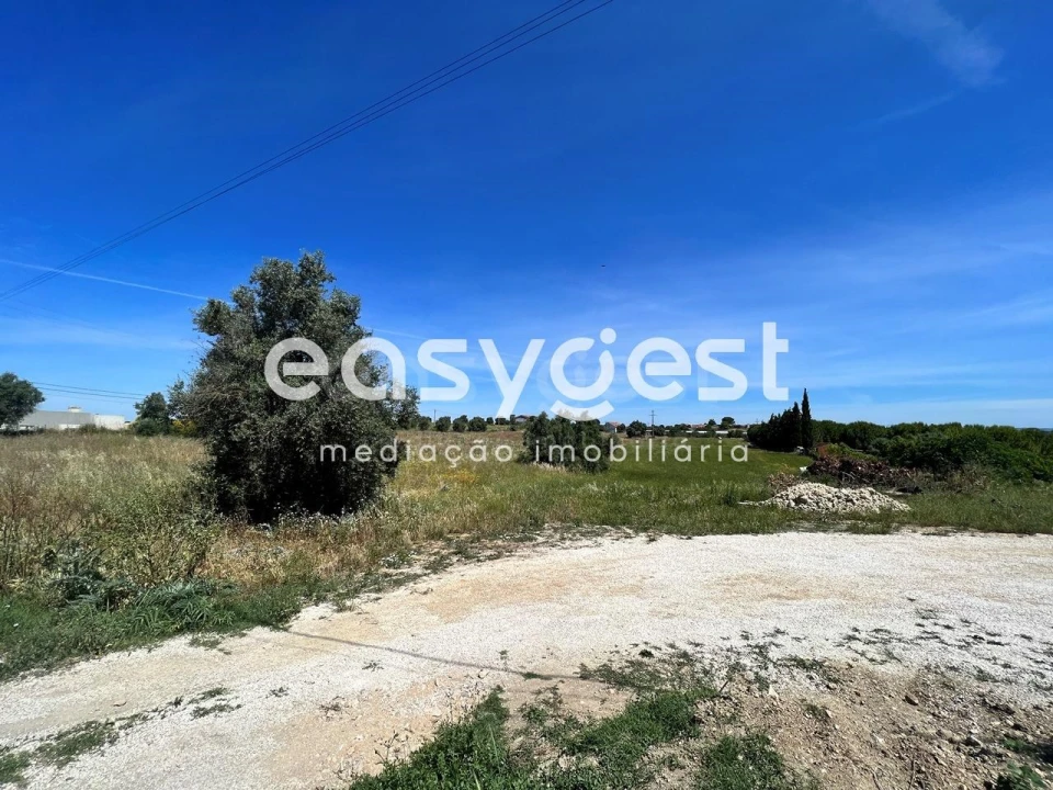 Terreno Misto para Venda em Madalena e Beselga Foto 2