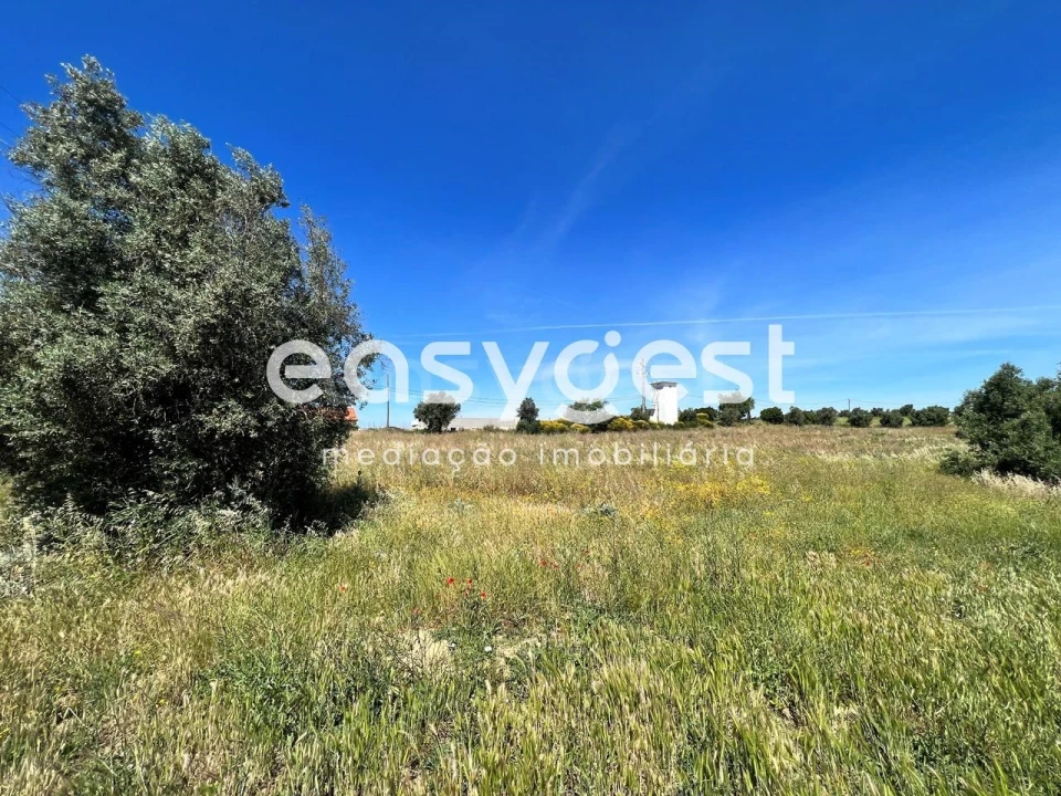 Terreno Misto para Venda em Madalena e Beselga Foto 4