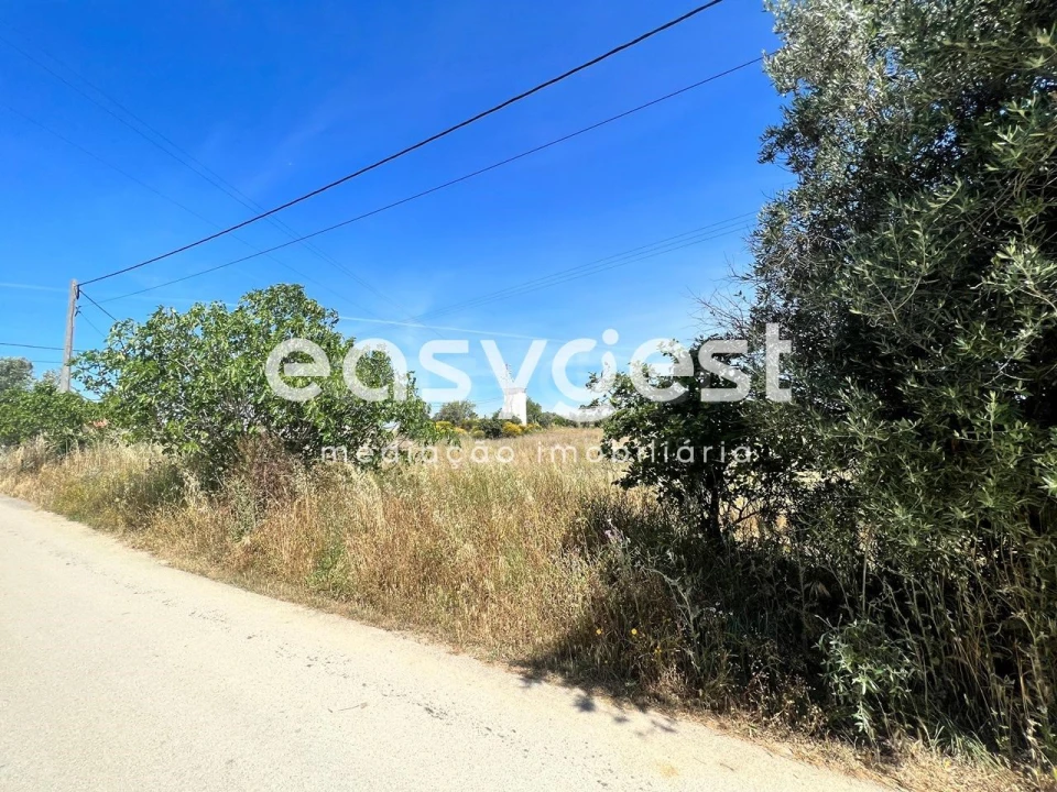 Terreno Misto para Venda em Madalena e Beselga Foto 5