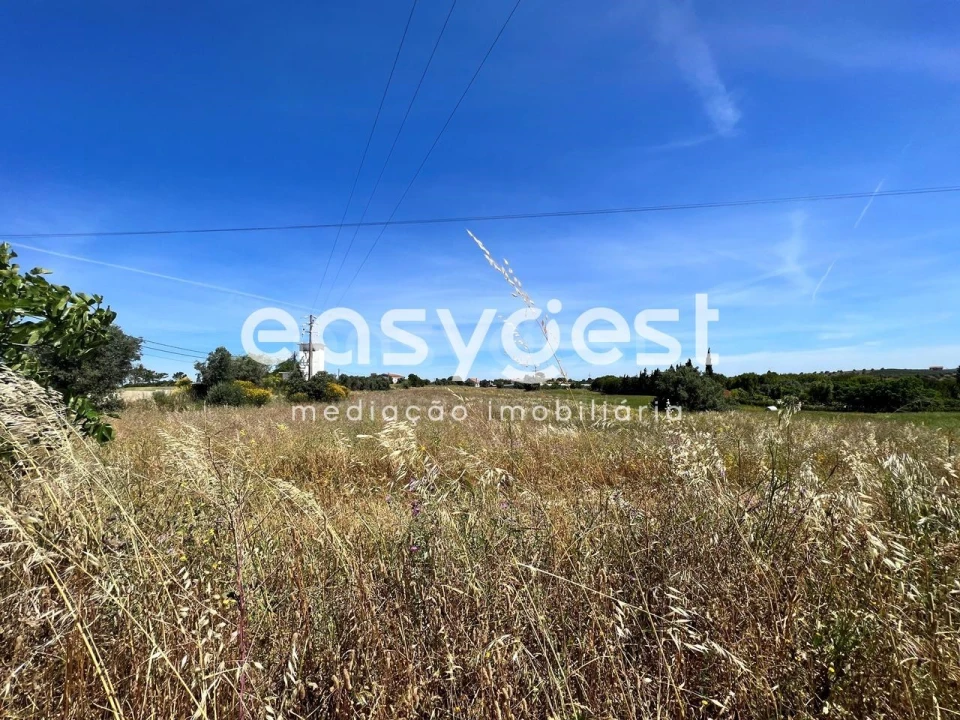 Terreno Misto para Venda em Madalena e Beselga Foto 6