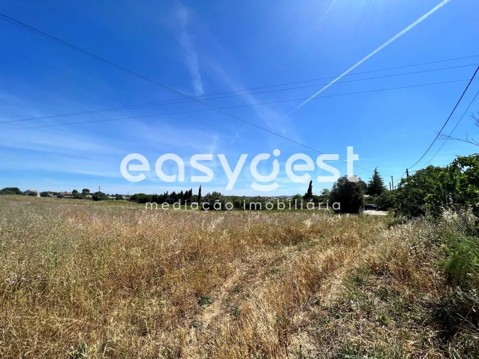 Terreno Misto para Venda em Madalena e Beselga Foto 7