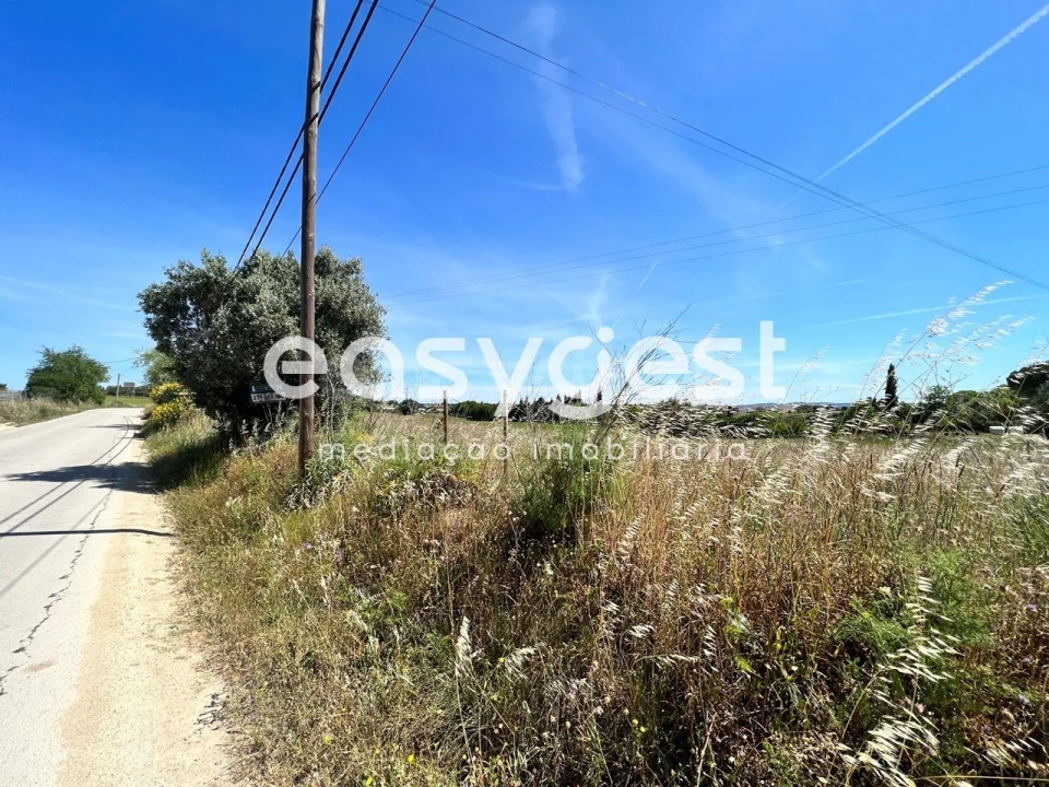 Terreno Misto para Venda em Madalena e Beselga Foto 9