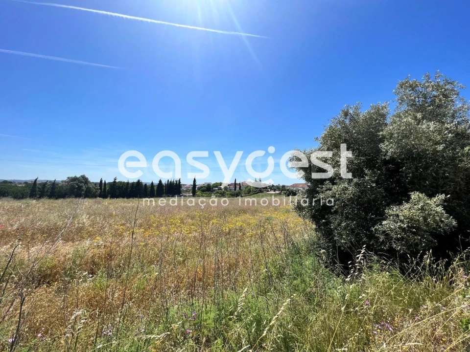Terreno Misto para Venda em Madalena e Beselga Foto 15
