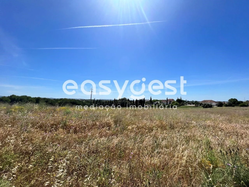 Terreno Misto para Venda em Madalena e Beselga Foto 16