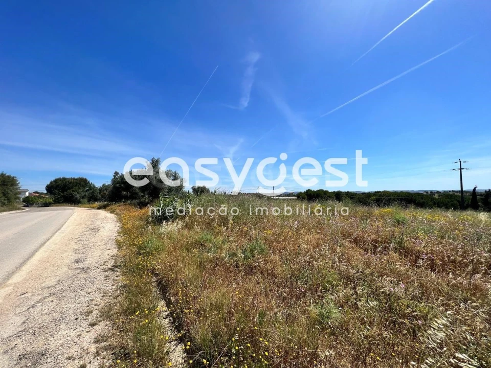 Terreno Misto para Venda em Madalena e Beselga Foto 17