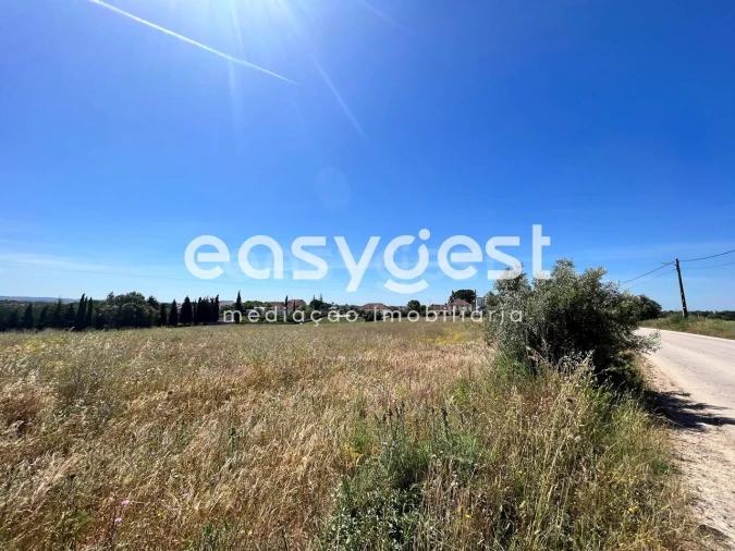 Terreno Misto para Venda em Madalena e Beselga Foto 1