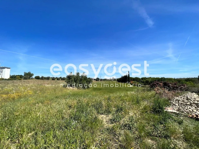 Terreno Misto para Venda em Madalena e Beselga Foto 3