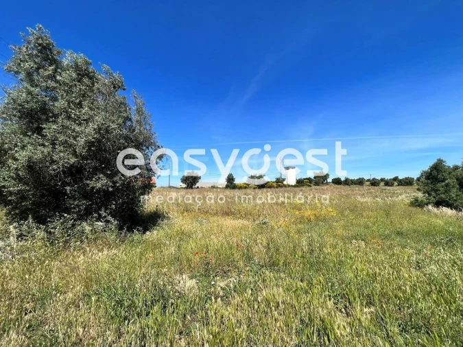 Terreno Misto para Venda em Madalena e Beselga Foto 4