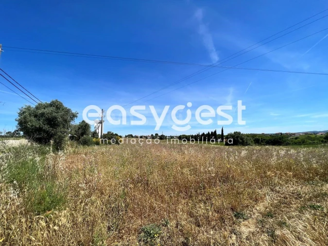 Terreno Misto para Venda em Madalena e Beselga Foto 8