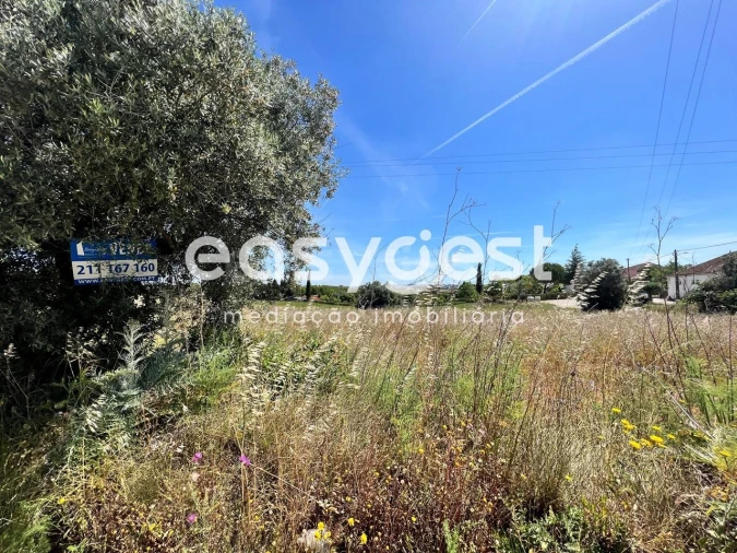 Terreno Misto para Venda em Madalena e Beselga Foto 10