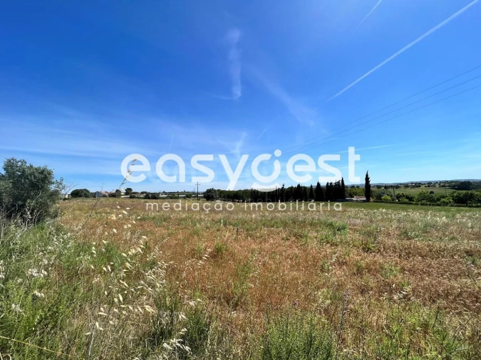 Terreno Misto para Venda em Madalena e Beselga Foto 13