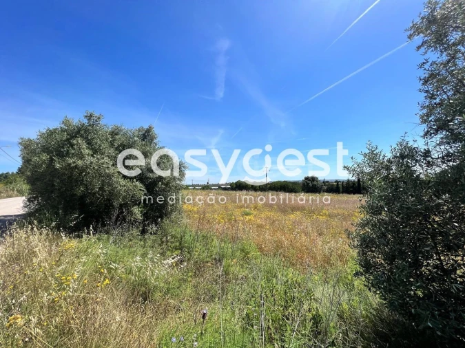 Terreno Misto para Venda em Madalena e Beselga Foto 14