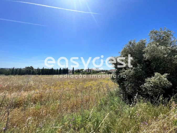 Terreno Misto para Venda em Madalena e Beselga Foto 15