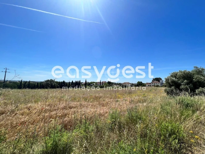 Terreno Misto para Venda em Madalena e Beselga Foto 18