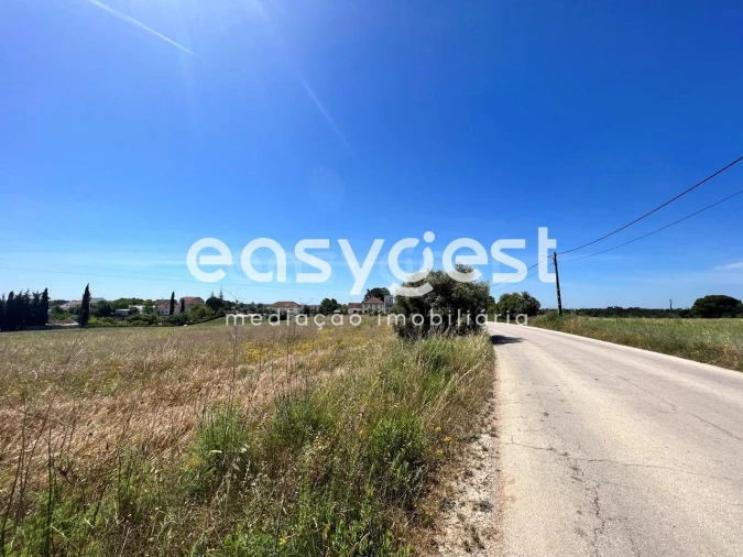 Terreno Misto para Venda em Madalena e Beselga Foto 19