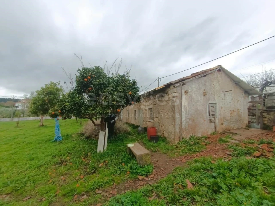 Moradia T3 para Venda em Areias e Pias Foto 5