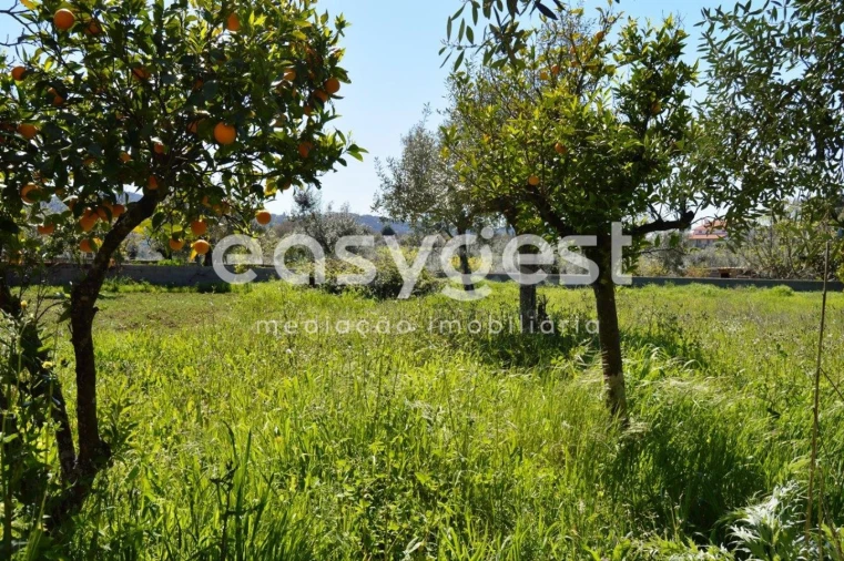 Moradia T3 para Venda em Areias e Pias Foto 2