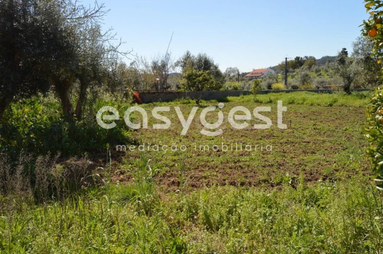 Moradia T3 para Venda em Areias e Pias Foto 3