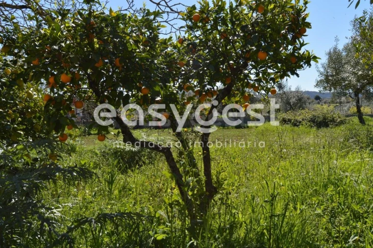 Moradia T3 para Venda em Areias e Pias Foto 4