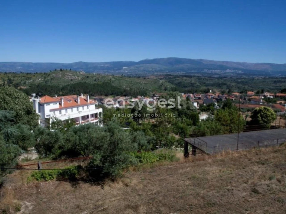 Negócio para Venda em Abrunhosa-A-Velha Foto 12