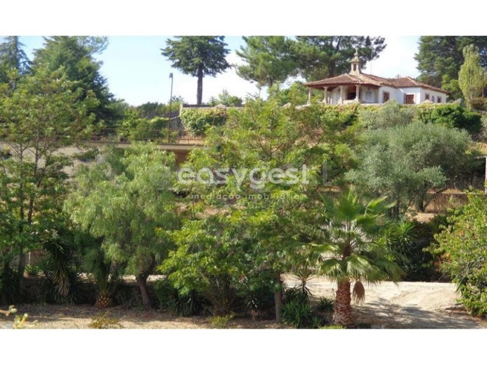 Negócio para Venda em Abrunhosa-A-Velha Foto 23